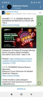 Screenshot_2023-02-19-22-48-25-109_org.telegram.messenger.web.jpg