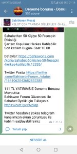 Screenshot_20230330-011458.jpg