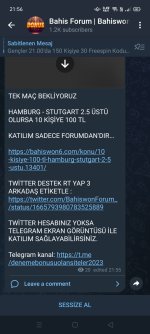 Screenshot_2023-06-05-21-56-21-77.jpg