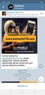 Screenshot_2021-04-11-12-15-00-06.webp