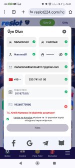 Screenshot_2024-04-14-17-41-57-801_com.android.chrome.jpg