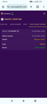 Screenshot_20240908-005440.png