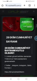 Screenshot_20241029_092956_com.android.chrome.jpg