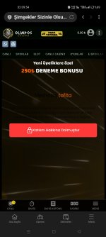 Screenshot_2025-02-01-02-09-54-48_439a3fec0400f8974d35eed09a31f914.jpg