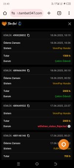 Screenshot_20250618-234004.jpg