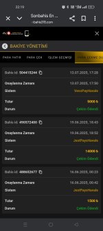Screenshot_2025-07-13-22-19-35-93_40deb401b9ffe8e1df2f1cc5ba480b12.jpg