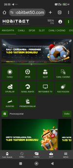 Screenshot_2025-10-16-20-55-17-845_com.android.chrome.jpg