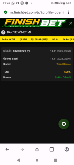 Screenshot_20251114-224734.png