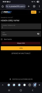 Screenshot_20251120_002017_Chrome.jpg