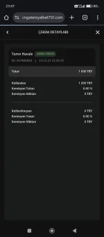 Screenshot_2025-12-15-23-47-39-572_com.android.chrome.webp