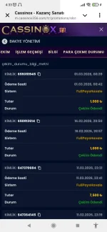 Screenshot_2026-03-01-04-33-02-803_org.telegram.messenger.webp