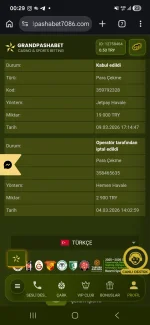 Screenshot_20260310_002938_Chrome.webp