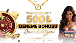 1774391579069.webp